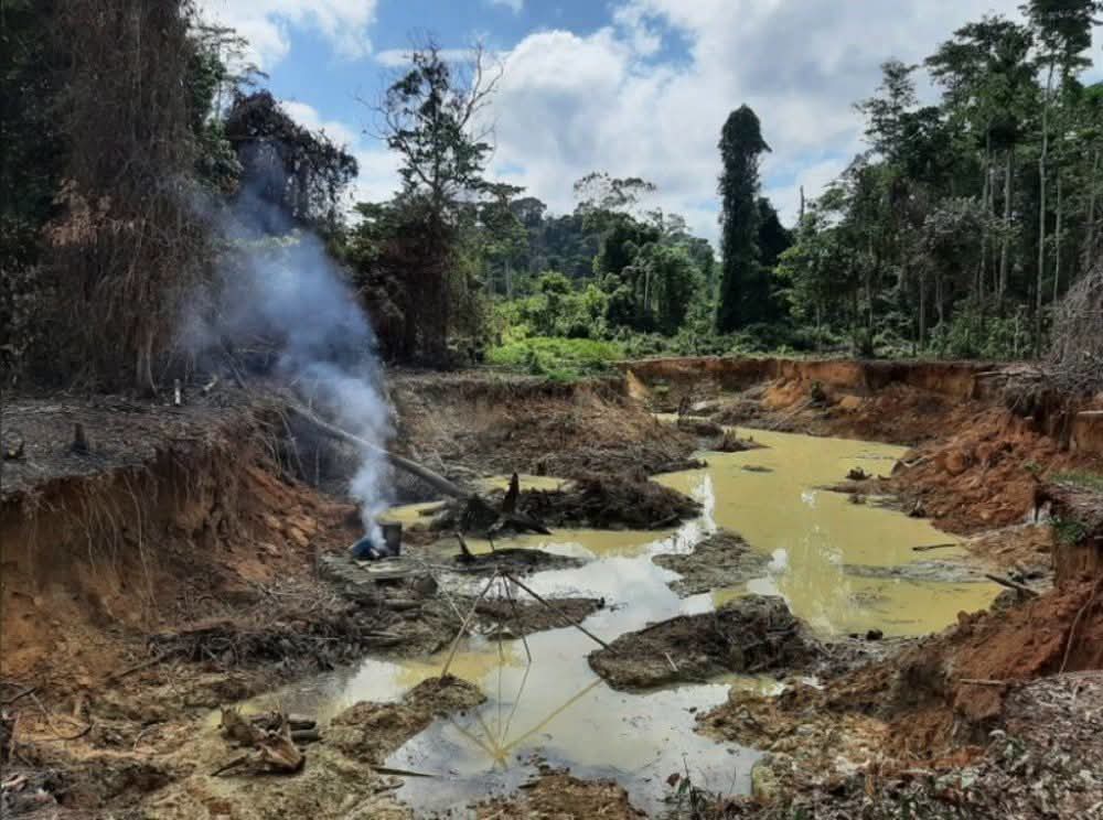 Côte d'Ivoire : Pulchérie Gbalet met en cause la gouvernance de l'orpaillage et appelle à un changement de système