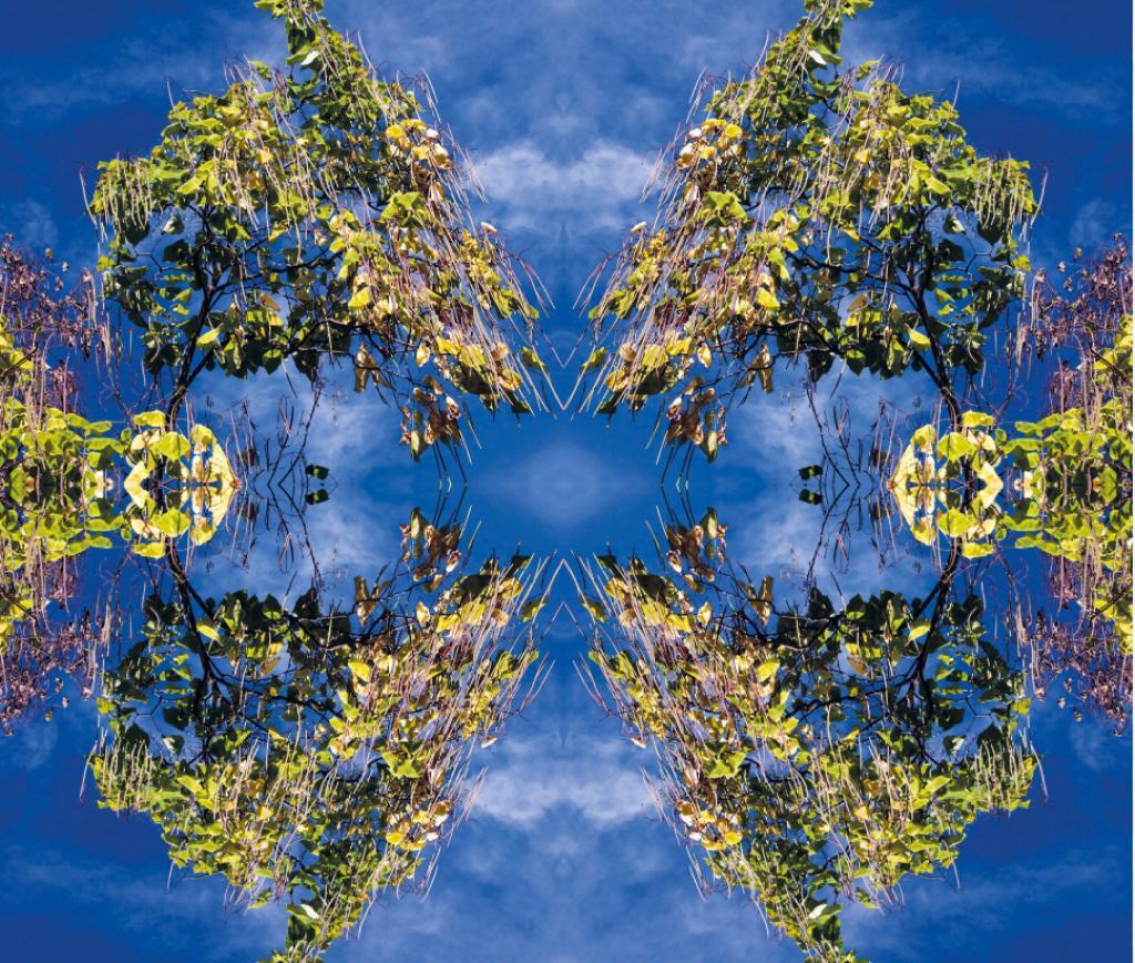 À Toutes Fins Utiles : La Quête du Savoir et de l'Ingéniosité en Afrique