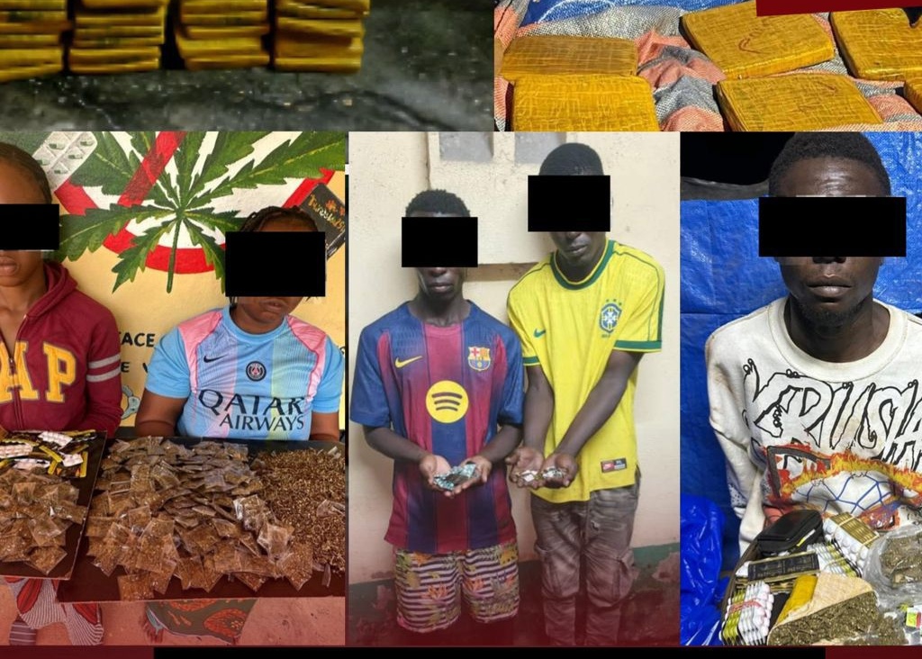 Côte d’Ivoire : plusieurs interpellations et importantes saisies lors d’opérations antidrogue à Abidjan et Korhogo