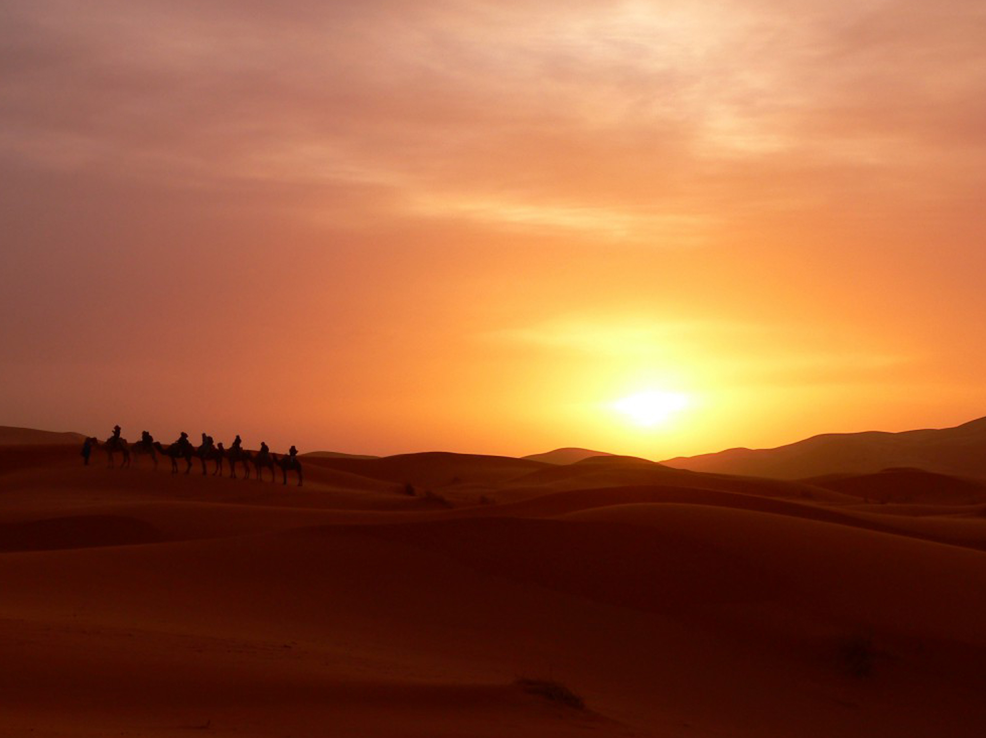 DÉVELOPPEMENT EN AFRIQUE FRANCOPHONE : SE SORTIR DU CARCAN QUI ÉTRANGLE TOUTE ACTION