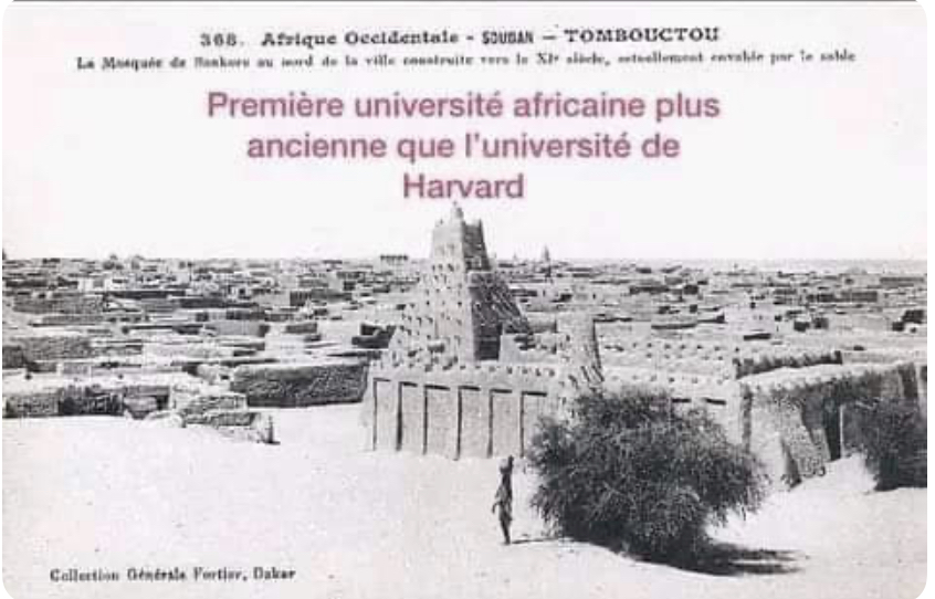 Université Sankoré de Tombouctou : Un Trésor Historique d'Enseignement et de Savoir